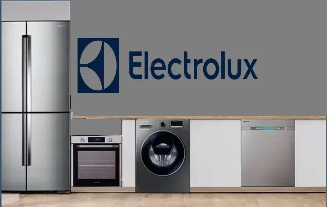 Çatalca Electrolux servisi