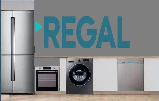 Çatalca Regal servisi